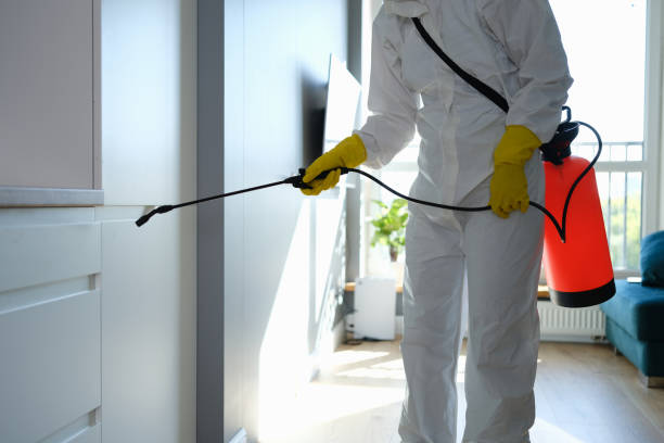 Best Residential Mold Remediation in The Village, OK