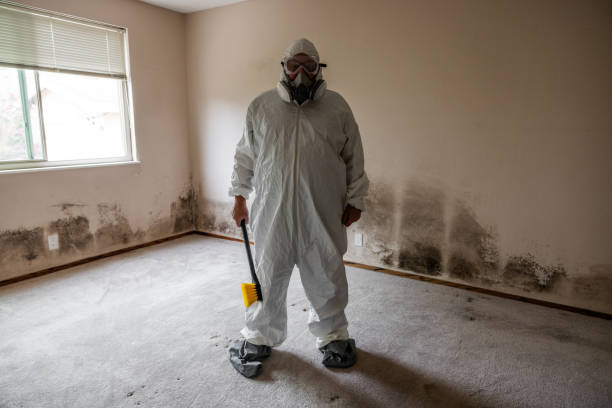 Best Post-Flood Mold Remediation in The Village, OK